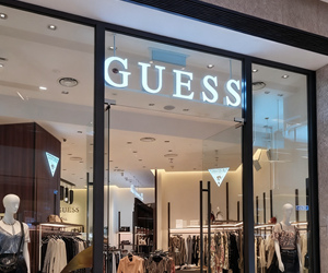 guess11